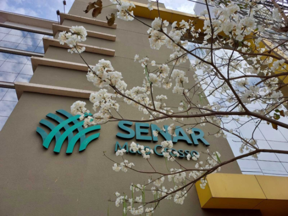 senar-mt-completa-33-anos-e-se-destaca-na-capacitacao-profissional-e-acoes-sociais-no-campo