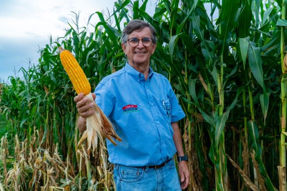 fe-e-coragem-fizeram-o-produtor-amelho-volpato-deixar-o-parana-para-produzir-em-mato-grosso
