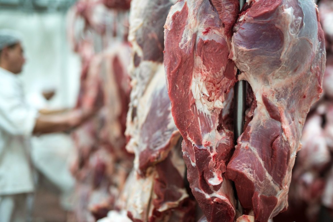 carne-bovina-produzida-em-mato-grosso-chega-a-88-paises-em-2026