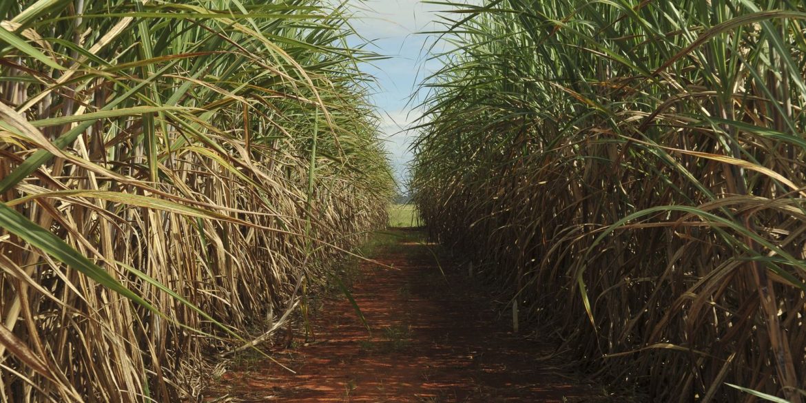 conselho-eleva-limite-de-remuneracao-do-eco-invest-brasil