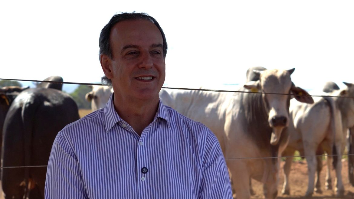 pecuarista-de-mt-aposta-em-intensificacao-para-produzir-ate-24-vezes-mais-na-mesma-area-e-preservar