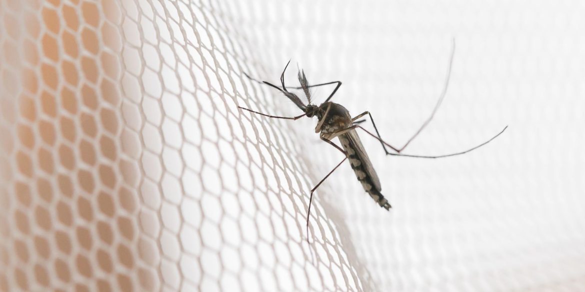 cidades-do-noroeste-de-sp-tem-maior-incidencia-de-casos-de-dengue