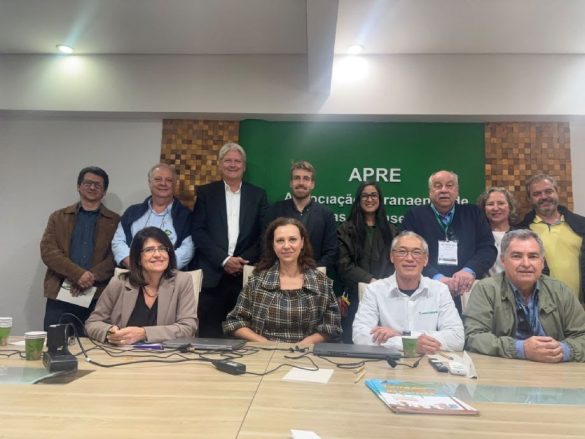 crescimento-do-etanol-de-milho-coloca-florestas-plantadas-no-centro-do-debate